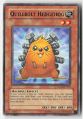 Quillbolt Hedgehog TDGS-EN003 Unlimited Common Moderately Played