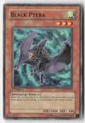 Black Ptera POTD-EN018 1st Edition Common Moderately Played