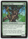 Ambassador Oak DDS 42 Common Moderately Played