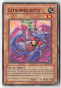 Catnipped Kitty FET-EN013 Unlimited Common Moderately Played