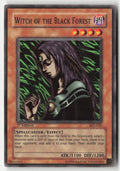 Witch of the Black Forest SKE-020 1st Edition Common Moderately Played