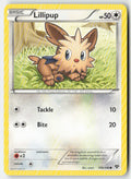 Lillipup 108/146 Regular XY Moderately Played