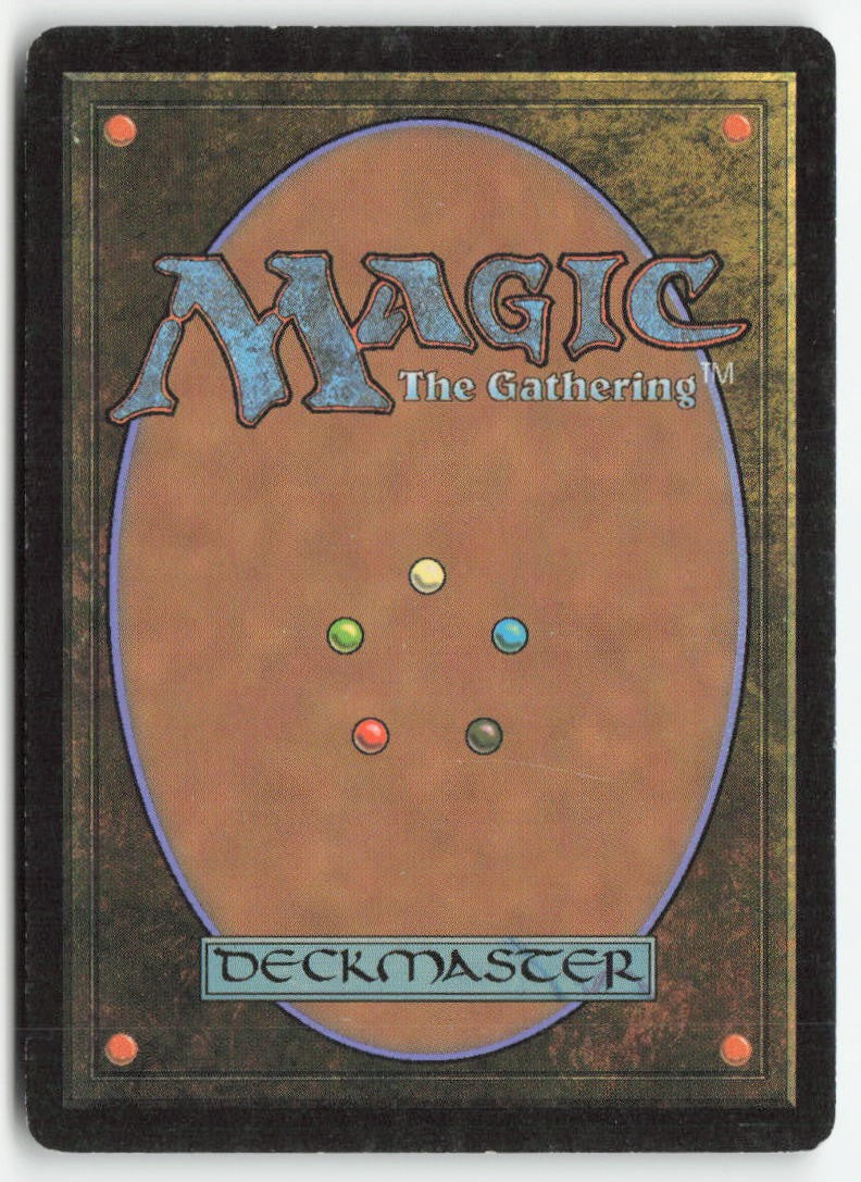 Skyhunter Cub MRD 21 Common Moderately Played