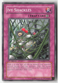Ivy Shackles CRMS-EN070 1st Edition Common Moderately Played