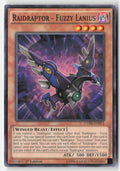 Raidraptor - Fuzzy Lanius CORE-EN013 1st Edition Common Moderately Played