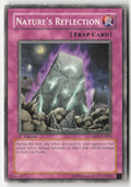 Nature's Reflection ABPF-EN065 1st Edition Common Moderately Played