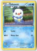 Oshawott 27/114 Regular Black & White Moderately Played