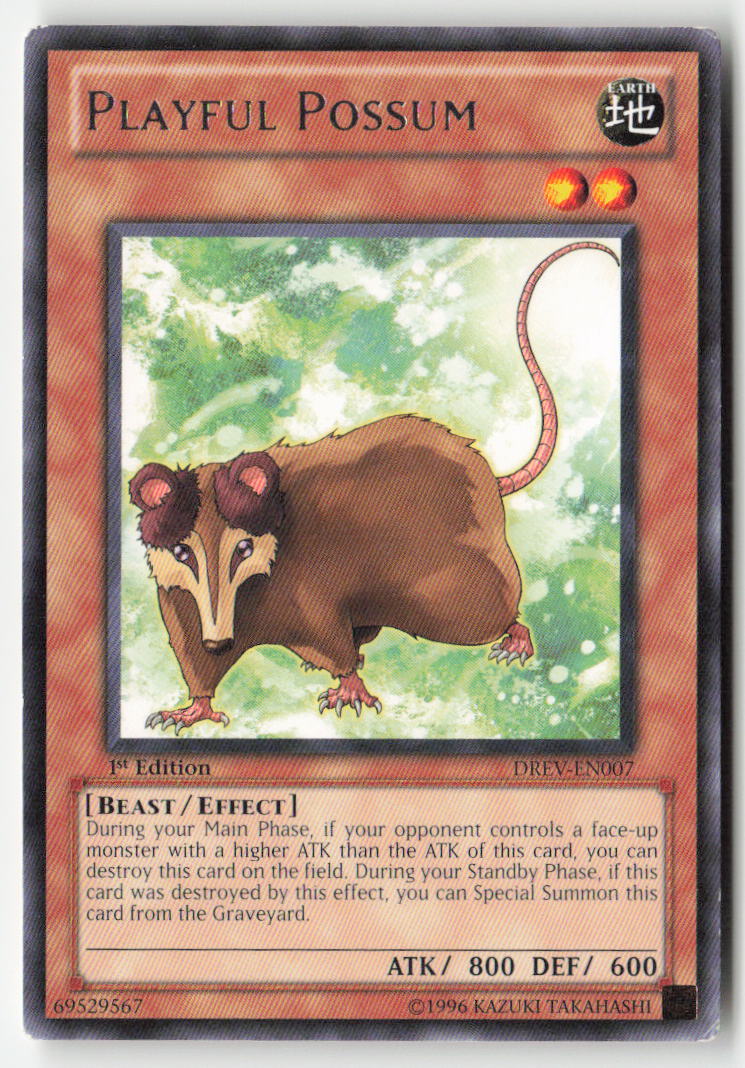 Playful Possum DREV-EN007 1st Edition Rare Moderately Played, Front