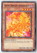 Divine Dragon Apocralyph ORCS-EN036 Unlimited Common Moderately Played