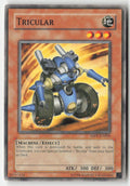 Tricular ABPF-EN003 Unlimited Common Moderately Played