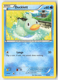 Ducklett 24/30 Regular XY trainer Kit (Suicune) Moderately Played