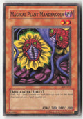 Magical Plant Mandragola MFC-072 Unlimited Common Moderately Played