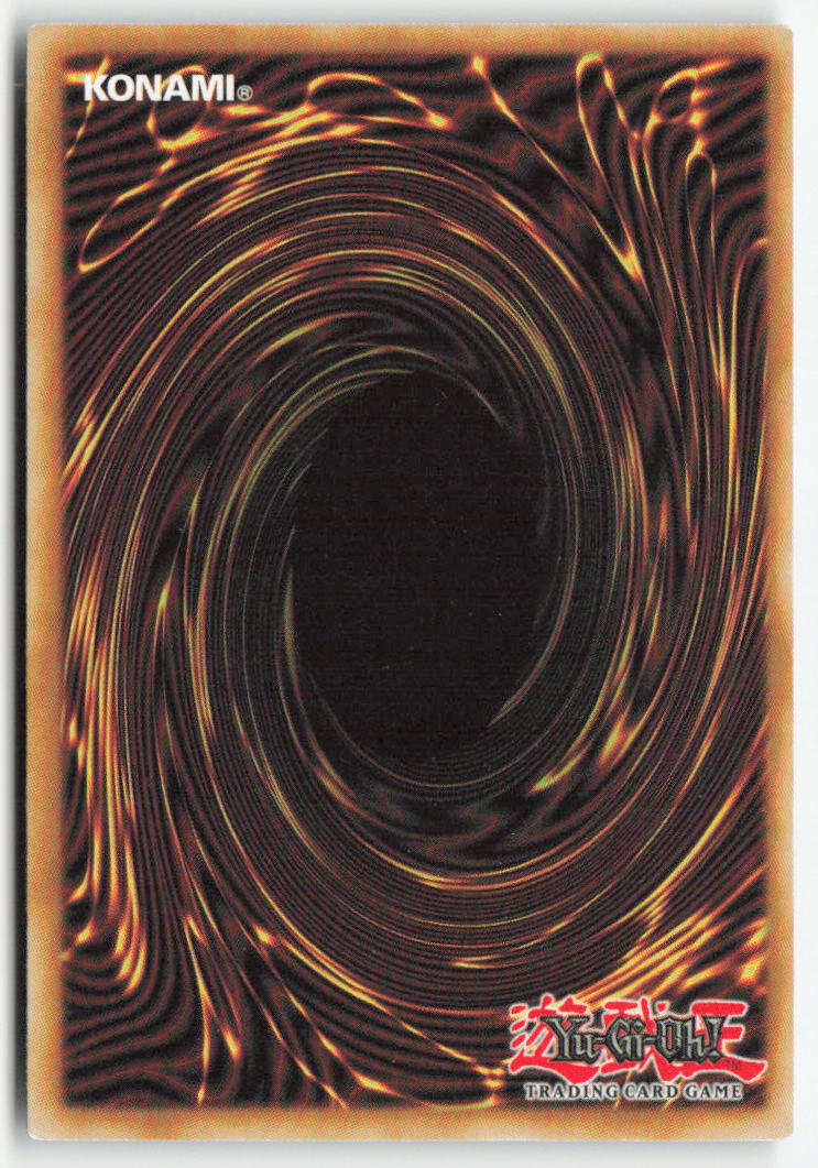 Ryko, Lightsworn Hunter YS17-EN017 1st Edition Common Moderately Played