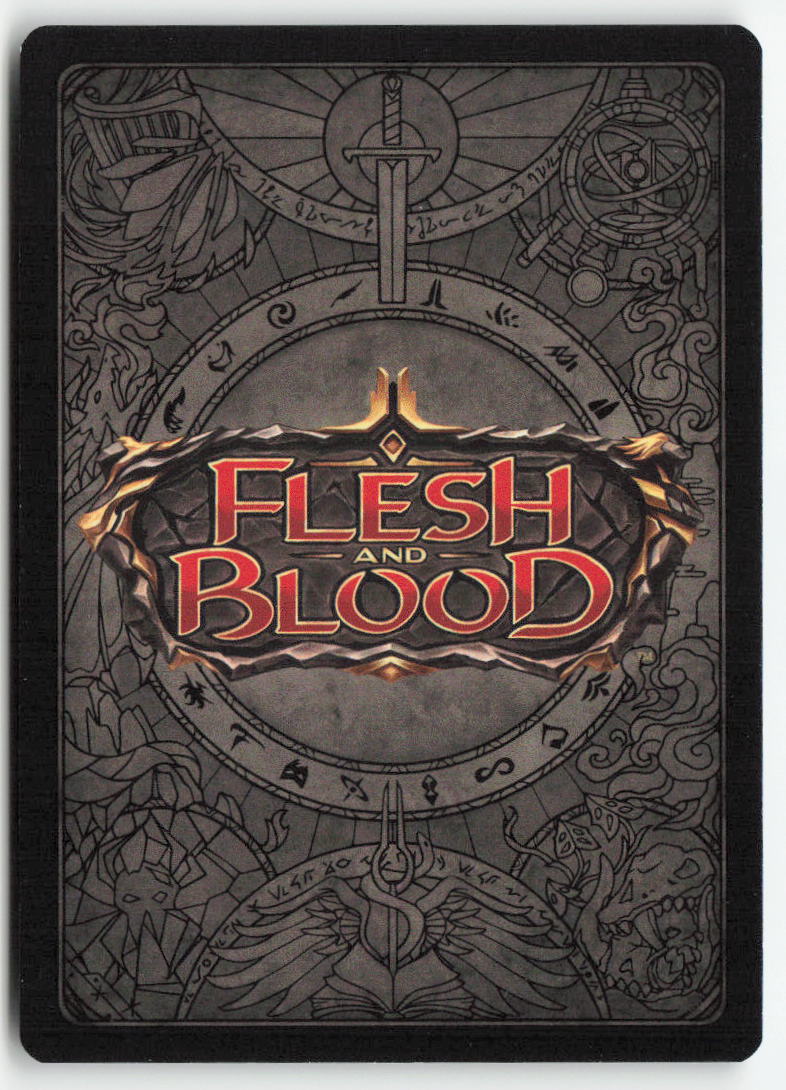 Public Bounty (Blue) #HNT243 - The Hunted - Flesh and Blood - Common - Near Mint, Back