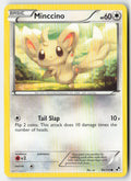 Minccino 88/114 Regular Black & White Moderately Played