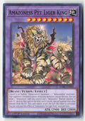 Amazoness Pet Liger King DABL-EN098 1st Edition Common Moderately Played