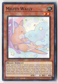 Melffy Wally POTE-EN022 1st Edition Common Moderately Played