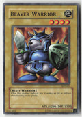 Beaver Warrior SDY-005 Unlimited Common Moderately Played