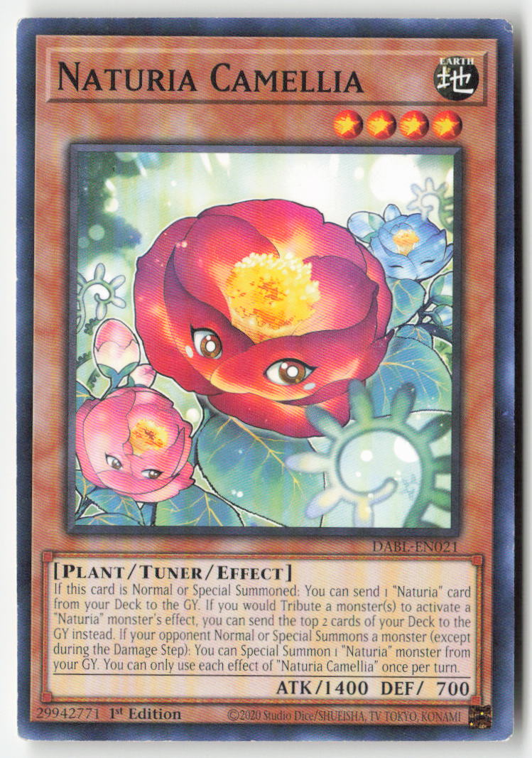 Naturia Camellia DABL-EN021 1st Edition Common Moderately Played, Front