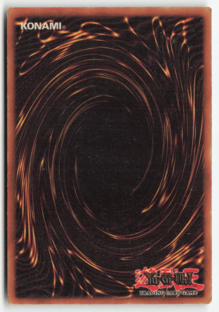Curse of Dragon SDY-008 Unlimited Common Moderately Played, Back