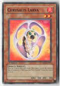 Chrysalis Larva TAEV-EN010 1st Edition Common Moderately Played