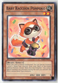 Baby Raccoon Ponpoko SHSP-EN014 1st Edition Common Moderately Played