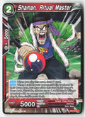 Shaman, Ritual Master BT7-019 Normal Common Lightly Played